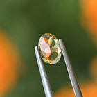 Turmalina-0.65ct-7.2x5.1x2.7mm 3