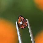 Turmalina-0.55ct-7.1x4.8x2.7mm 3