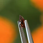 Turmalina-0.55ct-7.1x4.8x2.7mm 2