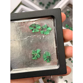 Esmeralda colombiana trapiche-3.41ct-18x15.3mm