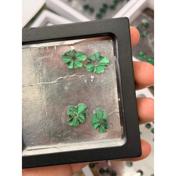 Esmeralda colombiana trapiche-3.41ct-18x15.3mm 1