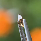 Turmalina-0.65ct-7x5.1x3.5mm 2