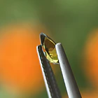 Turmalina-0.60ct-7x4.7x2.2mm 2