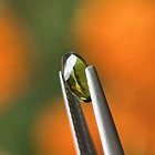 Turmalina-0.80ct-7.2x5x3mm 2