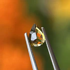 Turmalina-0.65ct-7.2x5.1x2.8mm 3
