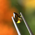 Turmalina-0.65ct-7.2x5.1x2.8mm 1