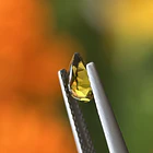 Turmalina-0.65ct-7.2x5.1x2.8mm 2