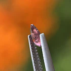 Turmalina-0.55ct-7.1x4.9x2.3mm 3