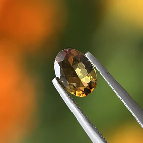 Turmalina-0.65ct-7.2x5.1x2.7mm