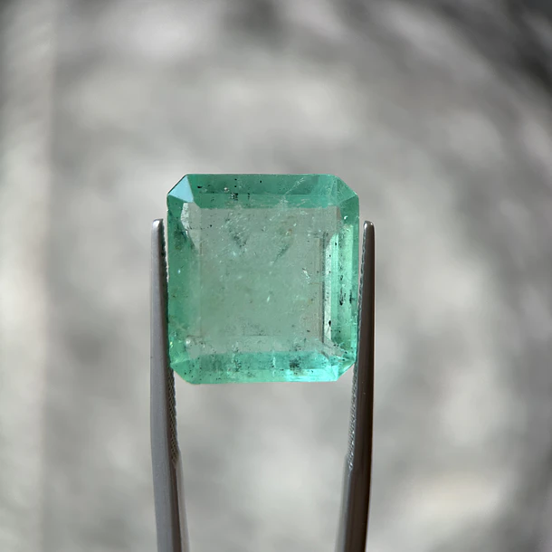 Esmeralda colombiana-14.28ct-16.70x15.23x7.25mm 1