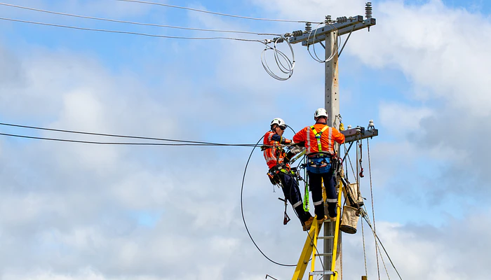 Qué arnés necesito para líneas eléctricas