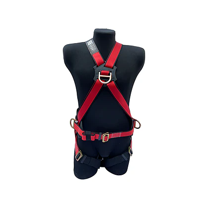 Arnés EQS Basic 4D con Respaldo Lumbar