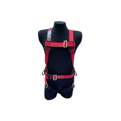 Arnes EQS Basic 3D con Respaldo Lumbar