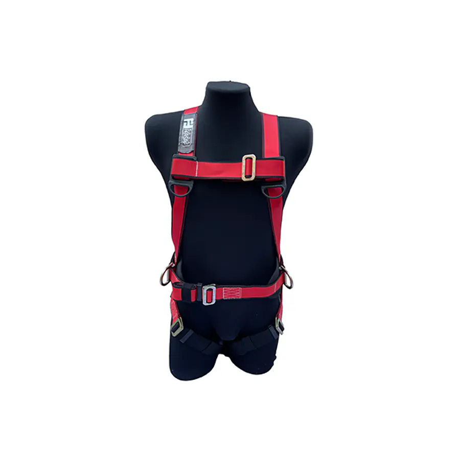 Arnes EQS Basic 3D con Respaldo Lumbar