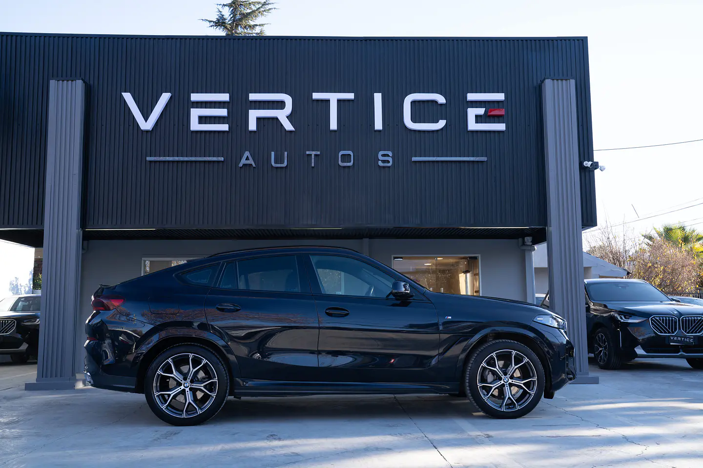 BMW X6 Xdrive 30D M Sport 3.0 Lci — foto 7 de 40