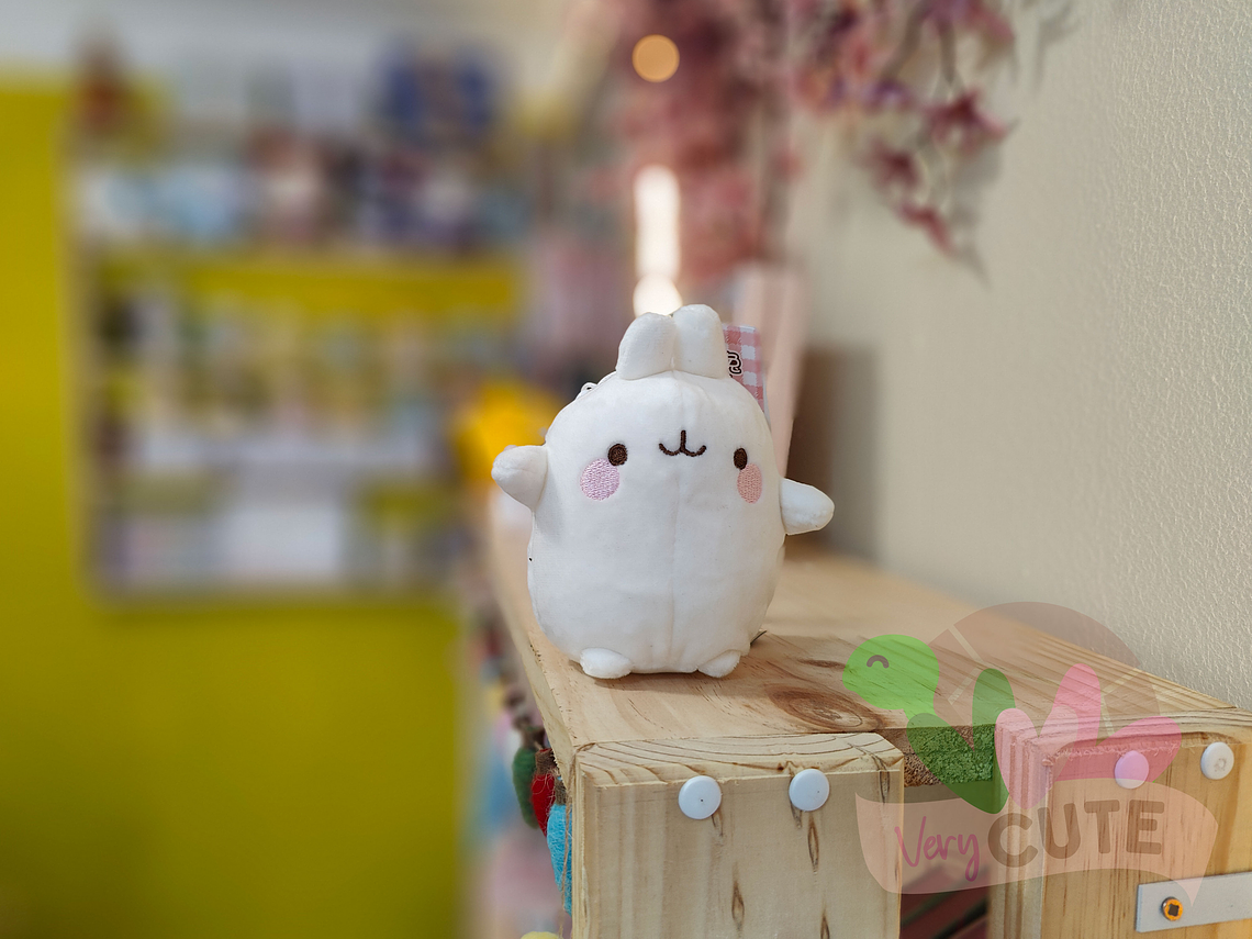 Llavero Peluche Molang 1
