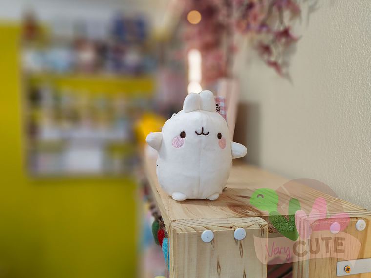 Llavero Peluche Molang 1