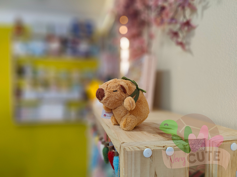 Llavero Peluche Capybara - Diseños 5