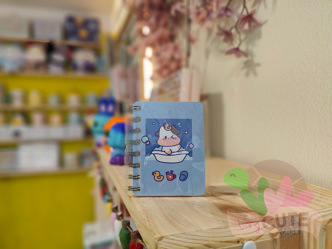 Mini libreta diseños 1