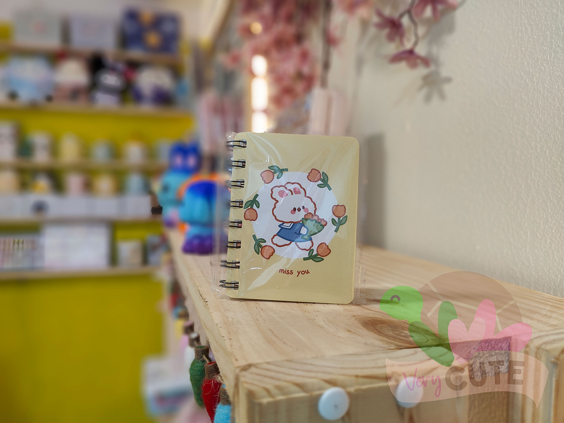 Mini libreta diseños 2