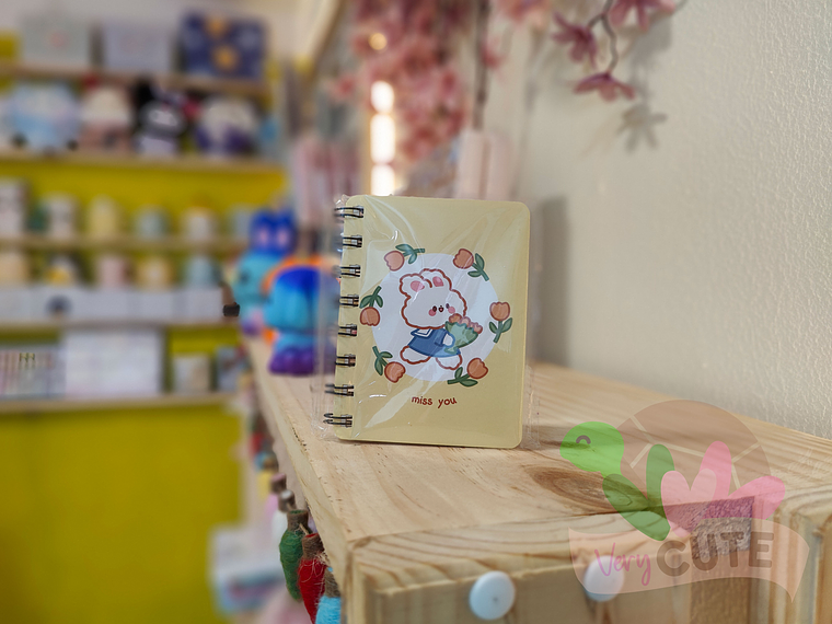 Mini libreta diseños 2