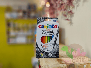 Lápices Punta Brush - 10 Colores 