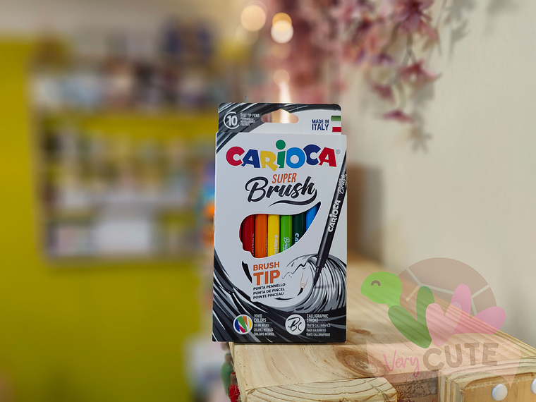 Lápices Punta Brush - 10 Colores  1