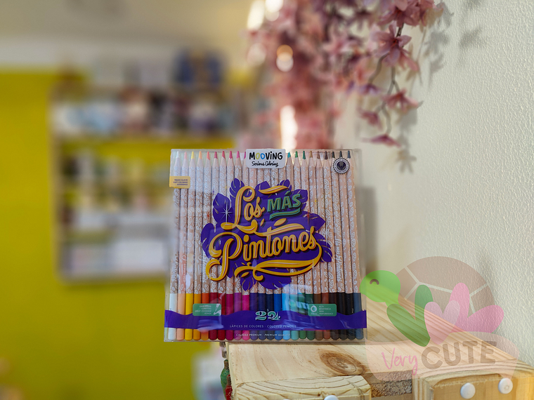 Lápices de Colores Premium - 24 colores 1