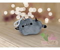 Llavero Pusheen - Colores