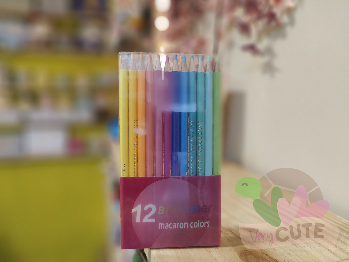 Lápices Colores Pastel - 12 lápices 1