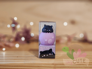 Sacapunta Hatching Day Party