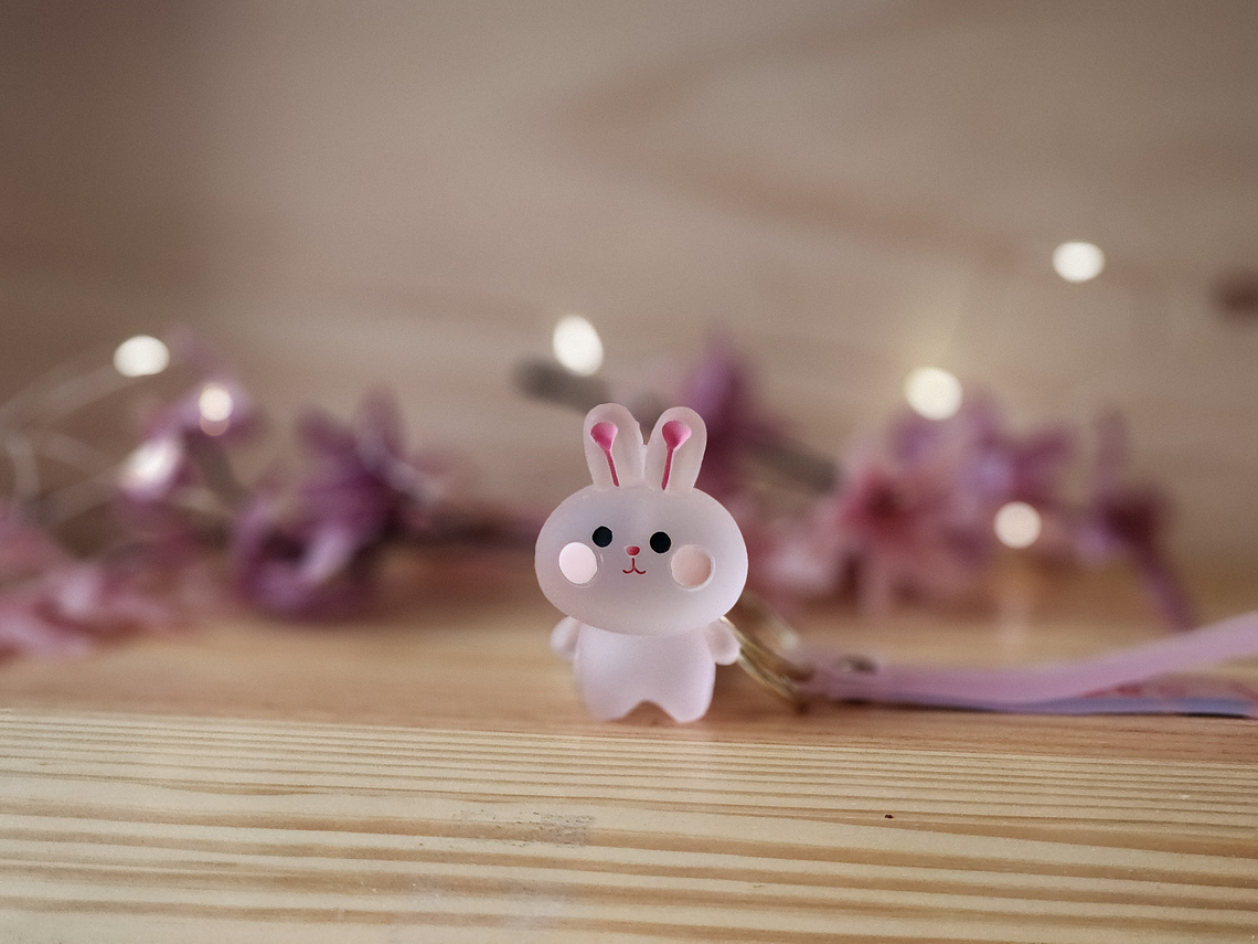 Llavero Animales Kawaii Transparente 1