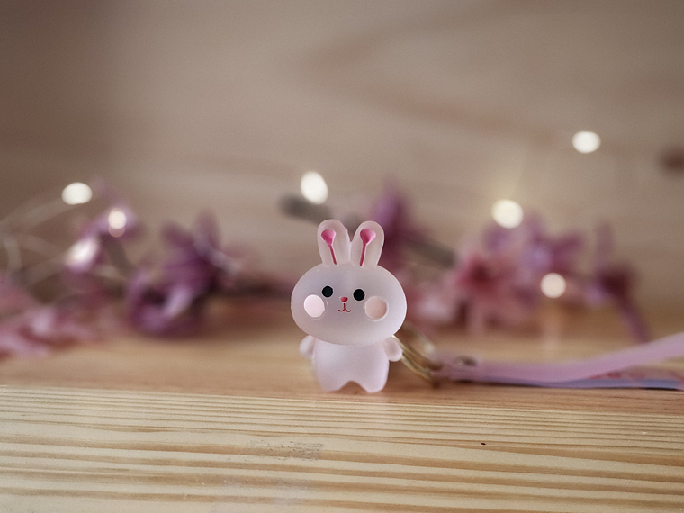 Llavero Animales Kawaii Transparente 1