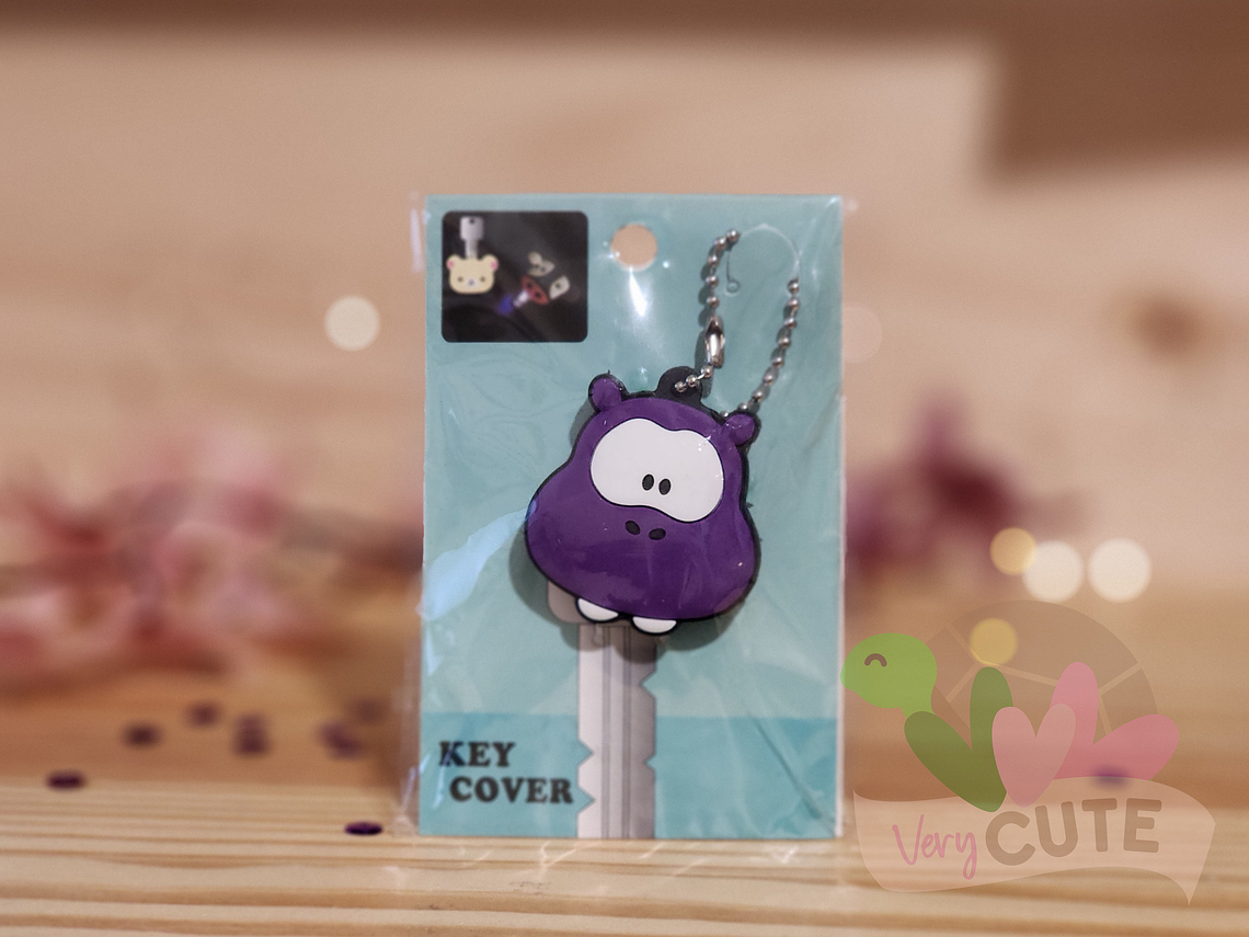 Protector de Llave con Luz -Varios diseños 1