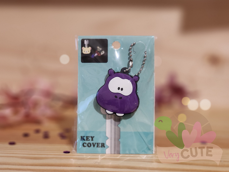 Protector de Llave con Luz -Varios diseños 1