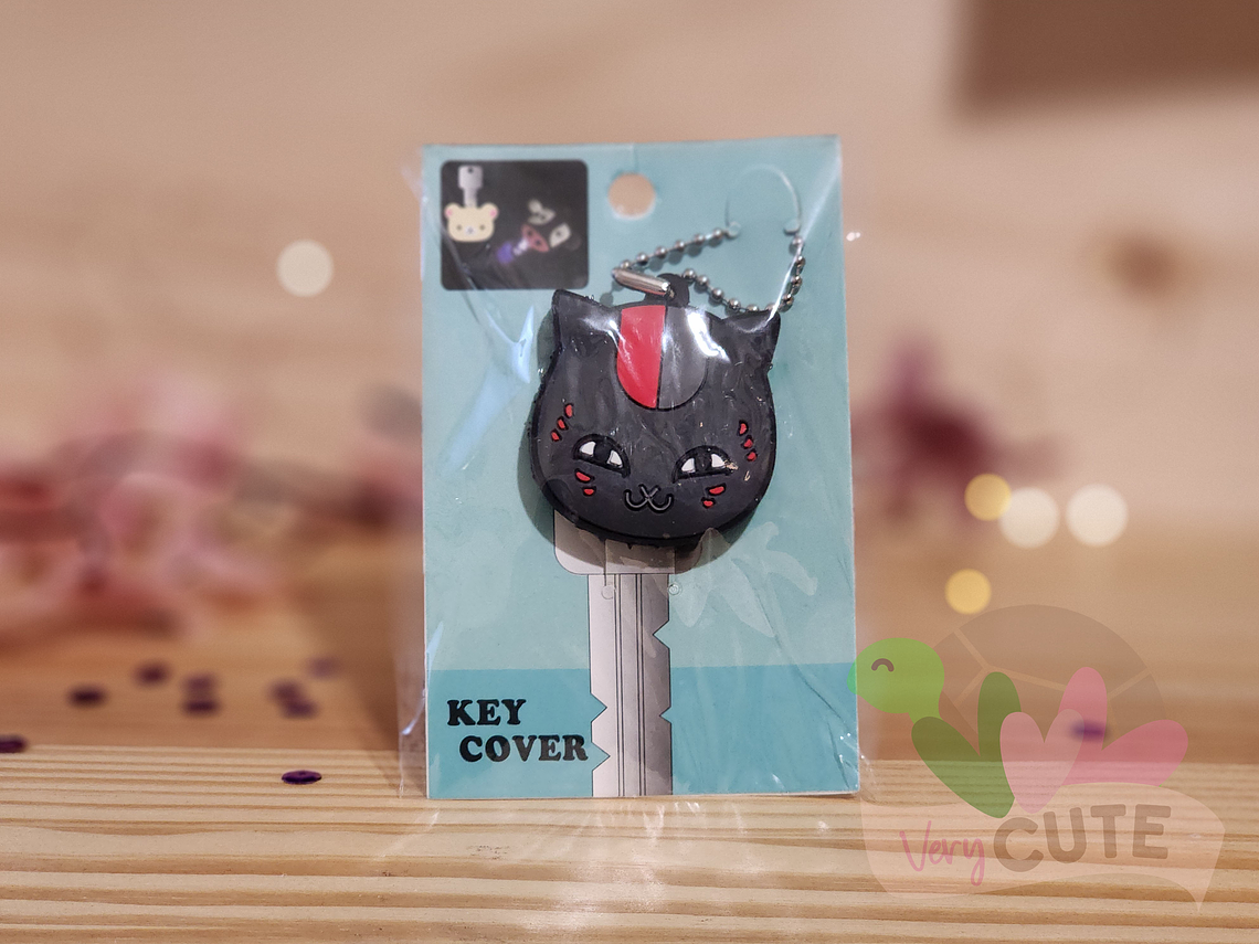 Protector de Llave con Luz -Varios diseños 4