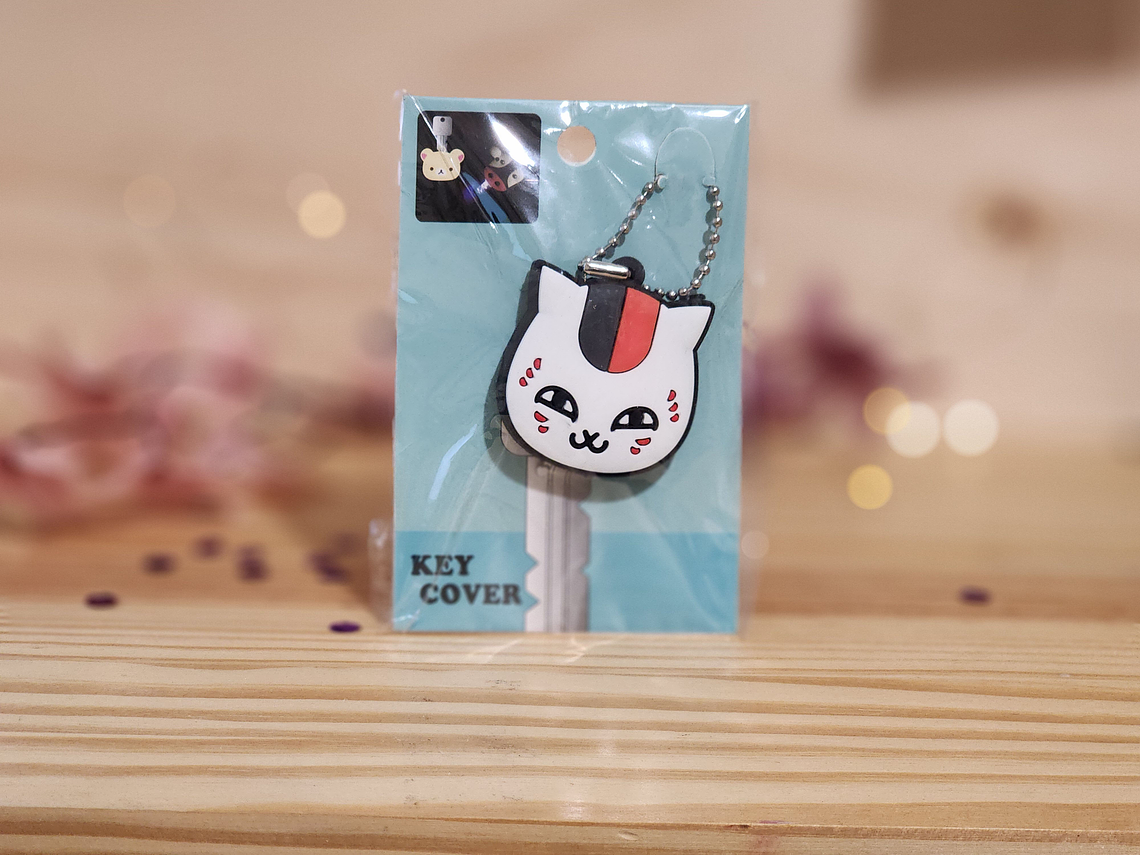 Protector de Llave con Luz -Varios diseños 5