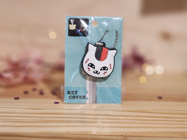 Protector de Llave con Luz -Varios diseños 5