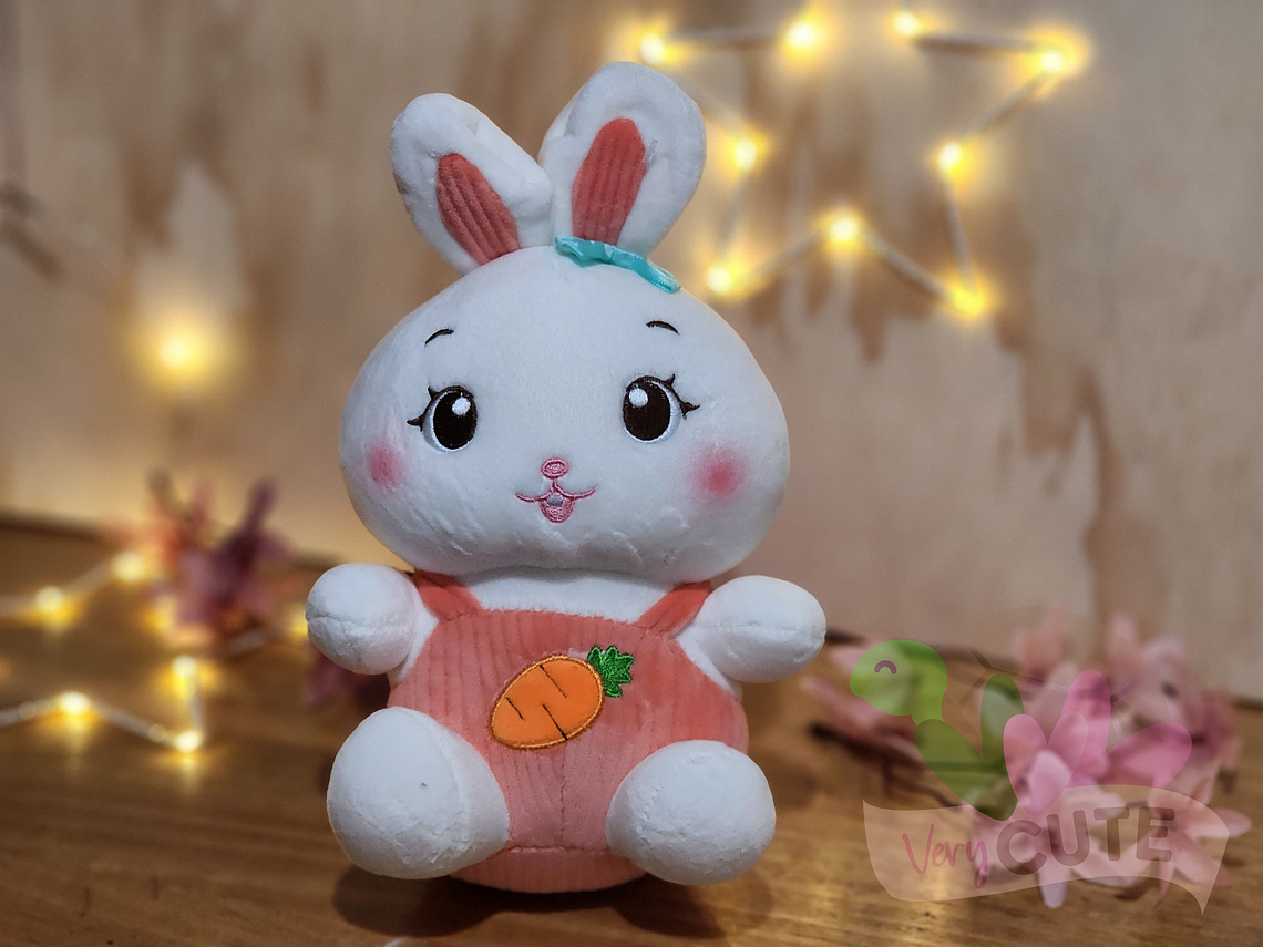 Peluche Conejita - Jardinera de Colores 1