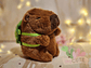 Peluche Capybara - Varios Diseños - Miniatura 1