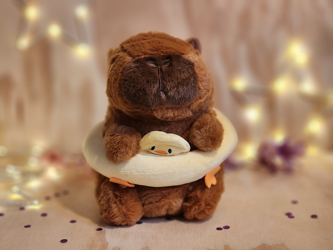 Peluche Capybara - Varios Diseños 5