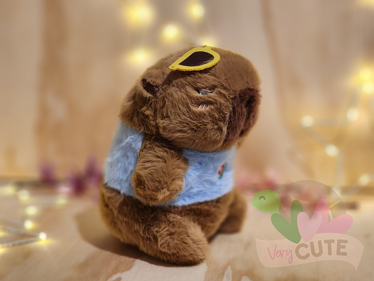 Peluche Capybara - Varios Diseños 10