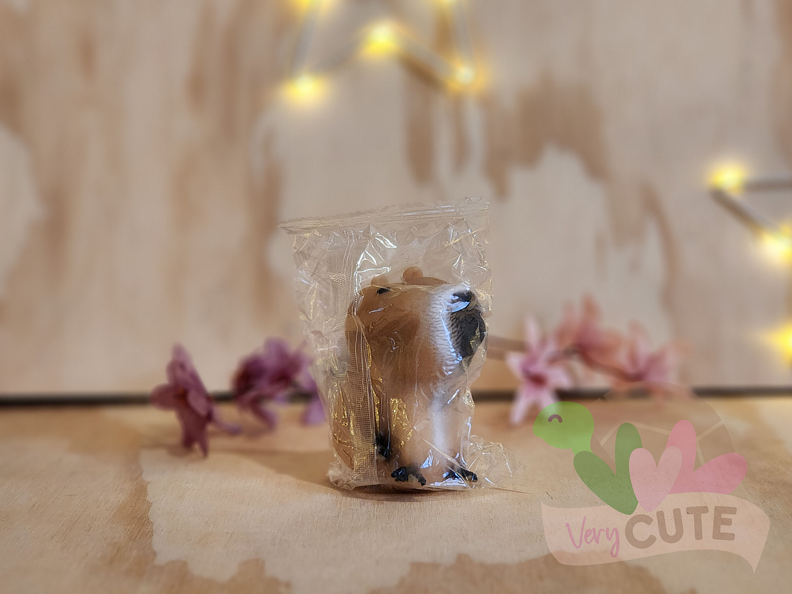 Squishy antiestrés Capybara - Varios Diseños y Materiales 1