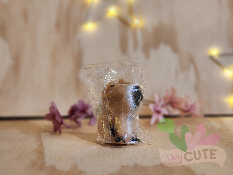 Squishy antiestrés Capybara - Varios Diseños y Materiales 1