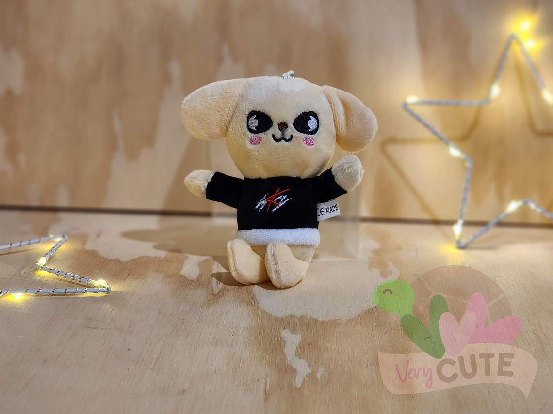 Llavero Peluche Skzoo Stray Kids - Pequeños 5
