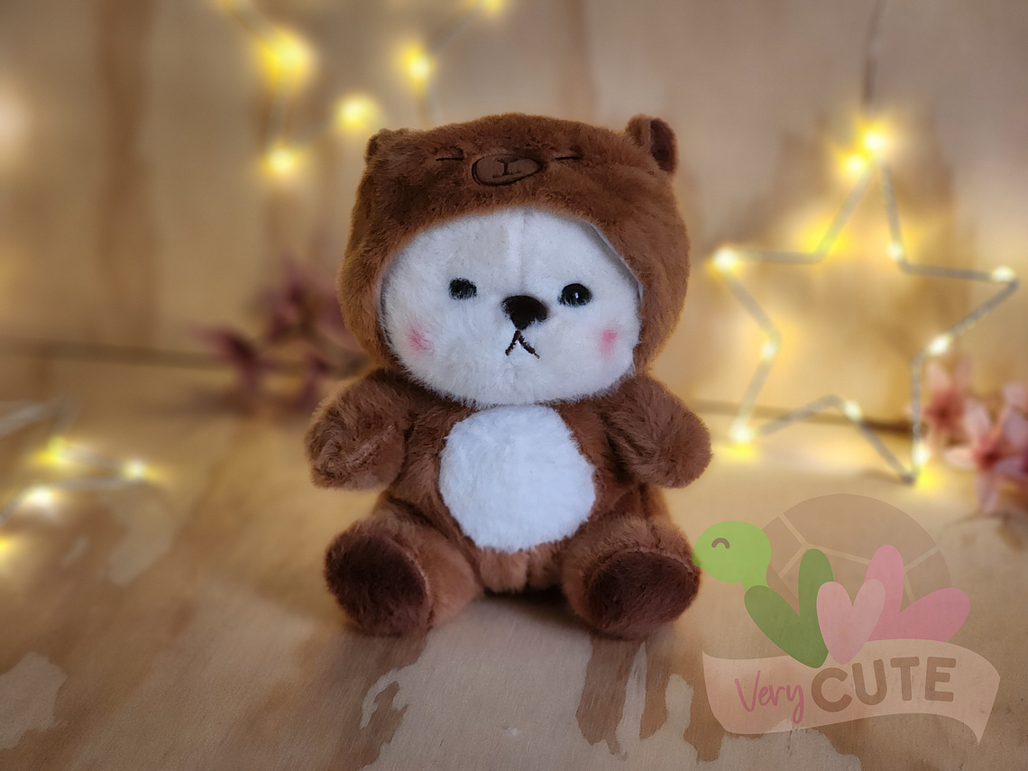  Peluche Osito con Disfraz 1