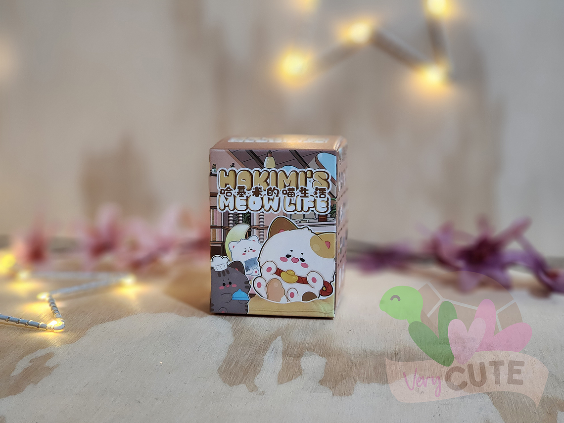 Caja Sorpresa Hakimi Meow Life 1