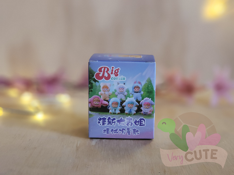  Caja Sorpresa Big Cousin 1