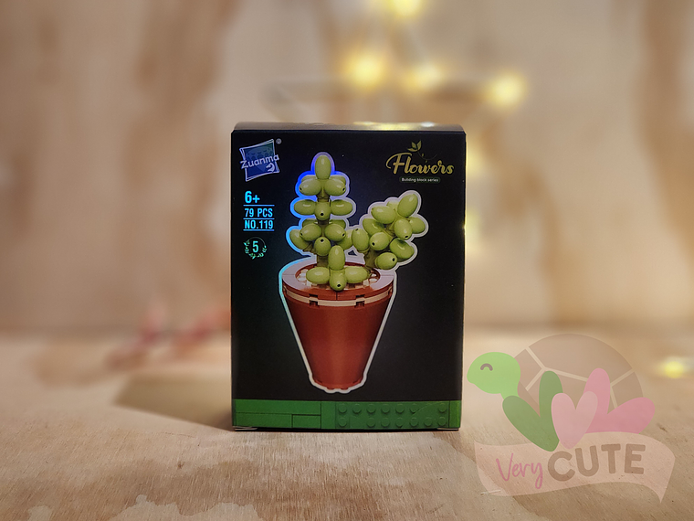 Set Bloques de Construcción en Caja - Suculentas 3