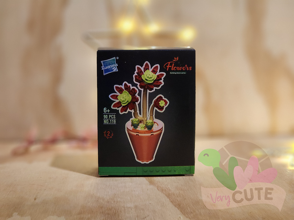 Set Bloques de Construcción en Caja - Suculentas 6